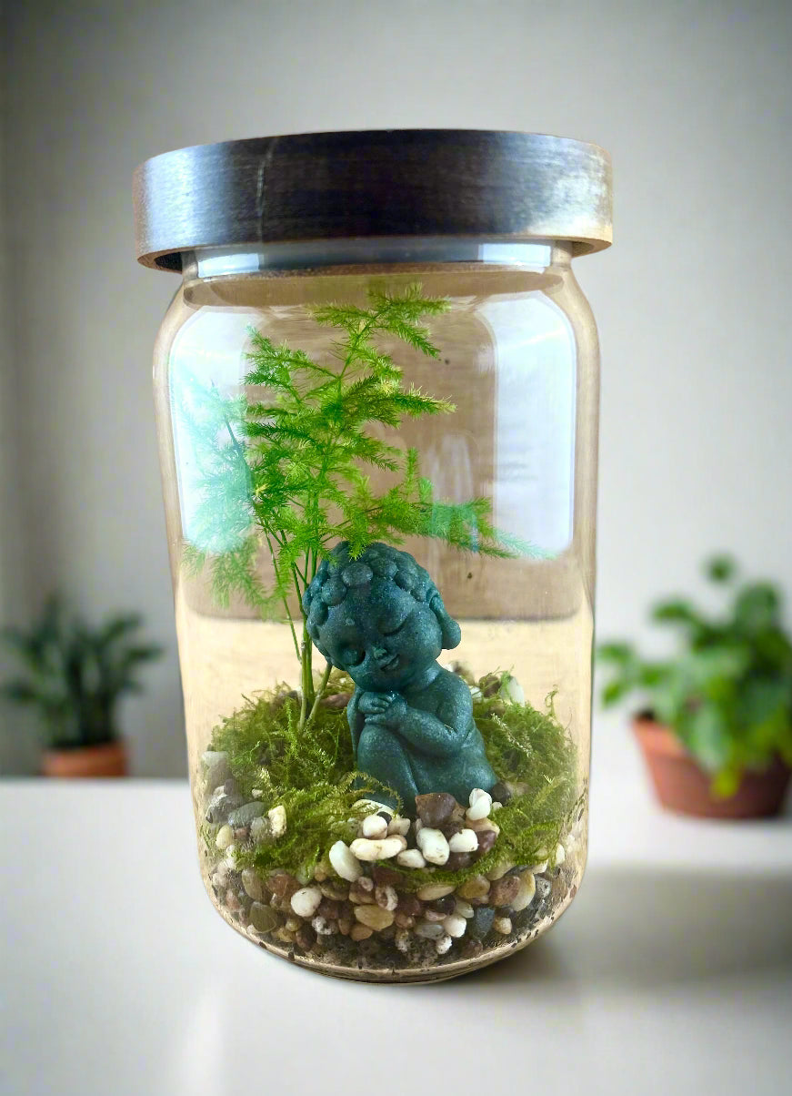 The Peaceful Buddha Terrarium