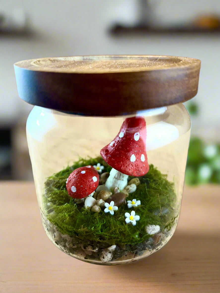 Sleepy Mushrooms Terrarium