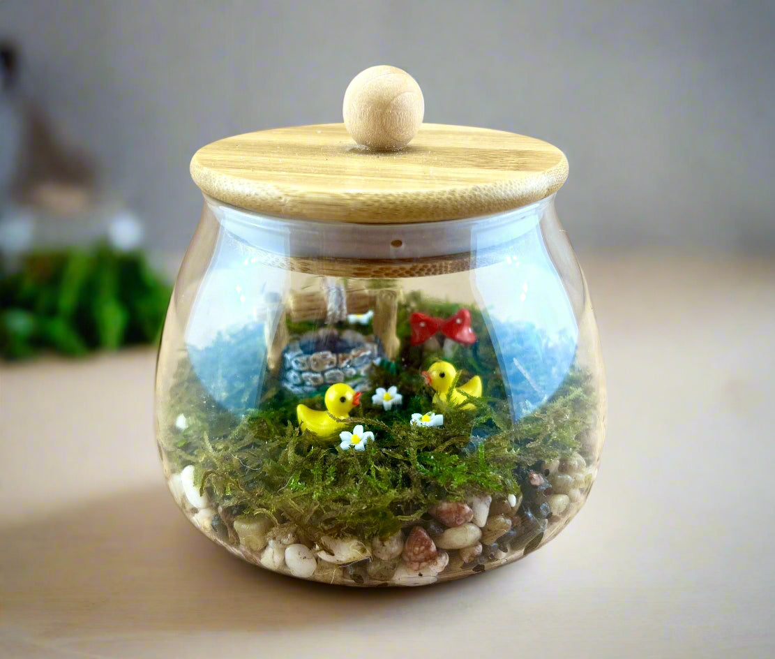 A Duck's Life Terrarium
